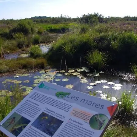 Magnifique Avec Piscine Classee 5 Etoiles