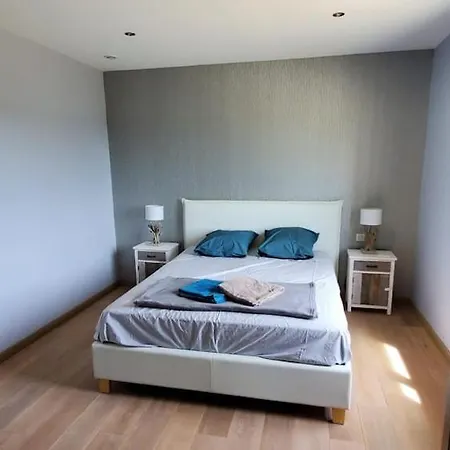 Magnifique Avec Piscine Classee 5 Etoiles * Vouneuil-sur-Vienne