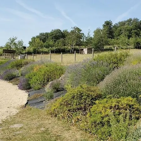 Magnifique Villa 5 Etoiles Avec Piscine Proche Futuroscope & Golf Вилла Vouneuil-sur-Vienne