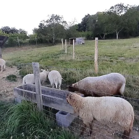 Magnifique Avec Piscine Classee 5 Etoiles *