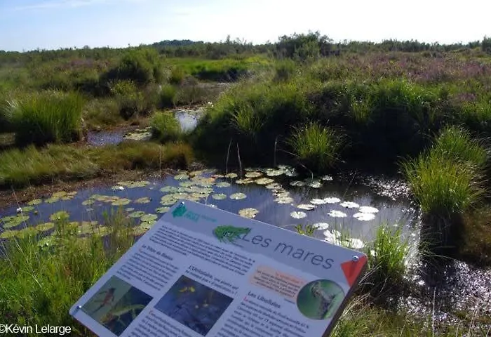 Magnifique Avec Piscine Classée 5 étoiles