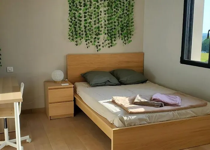 Magnifique Avec Piscine Classée 5 étoiles