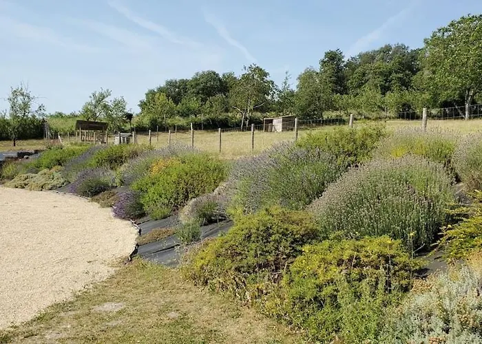 Magnifique Avec Piscine Classée 5 étoiles Villa Vouneuil-sur-Vienne