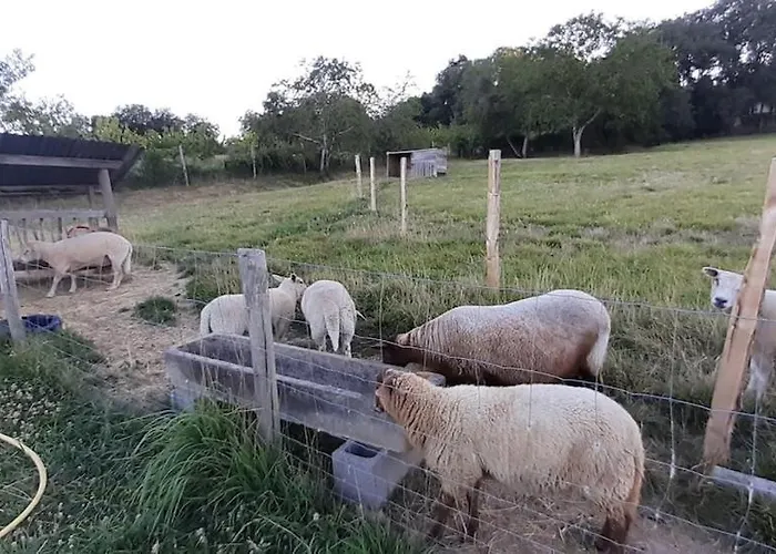 Magnifique Avec Piscine Classée 5 étoiles *